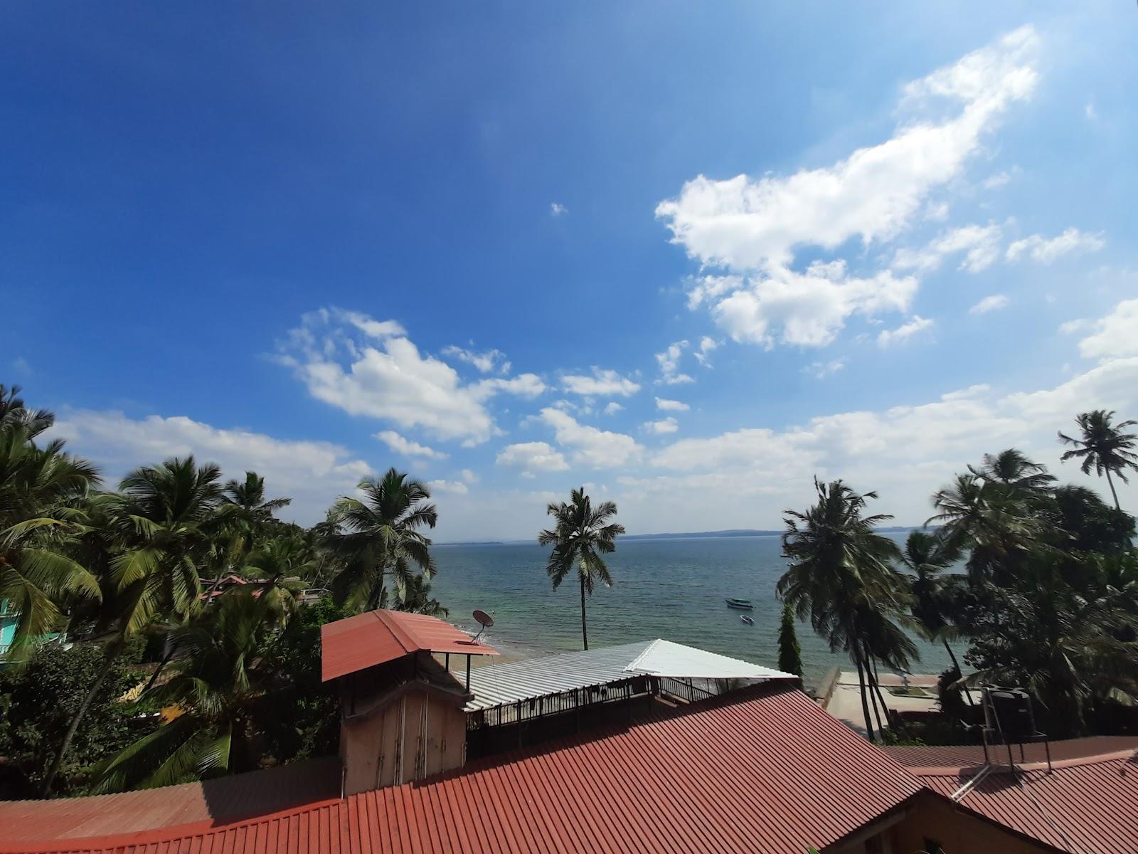 Casa Tropicana - Hotel & Homestays – photo 3