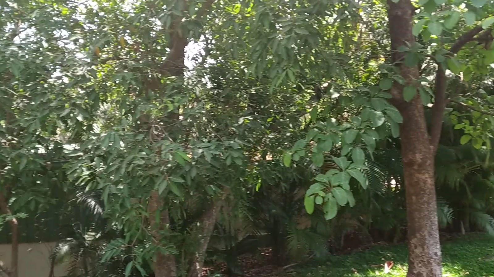 Aamby Valley City – photo 2