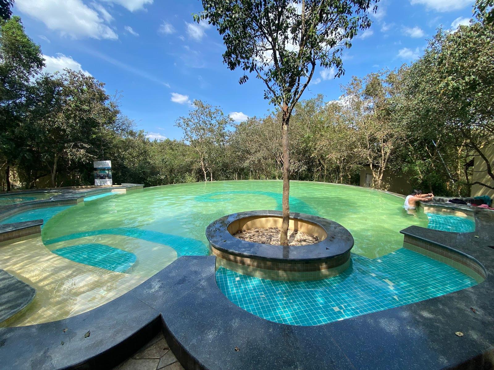 The Windflower Jungle Resort & Spa Bandipur – photo 4