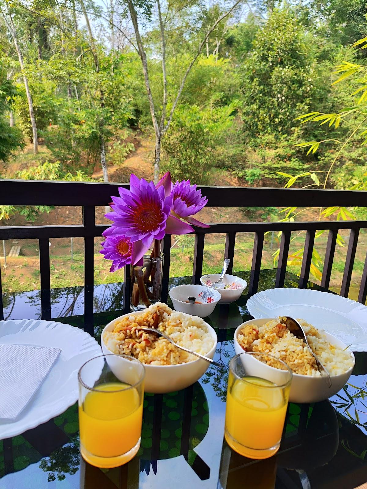 Casta Wild Resort – photo 4