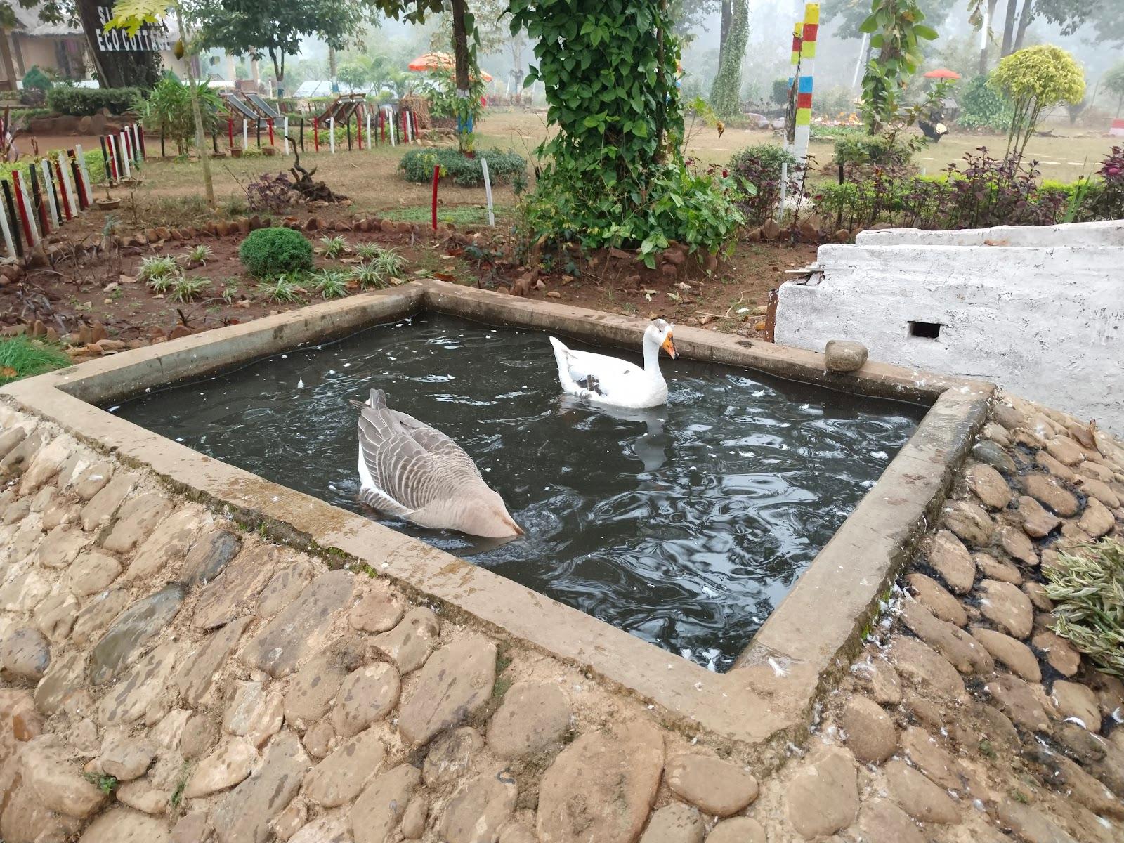 Similipal Eco Cottage – photo 4