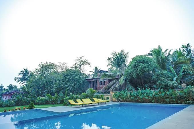 Alaya Stays by ELIVAAS Veera Marina - Pool Apartment in Goa – photo 4