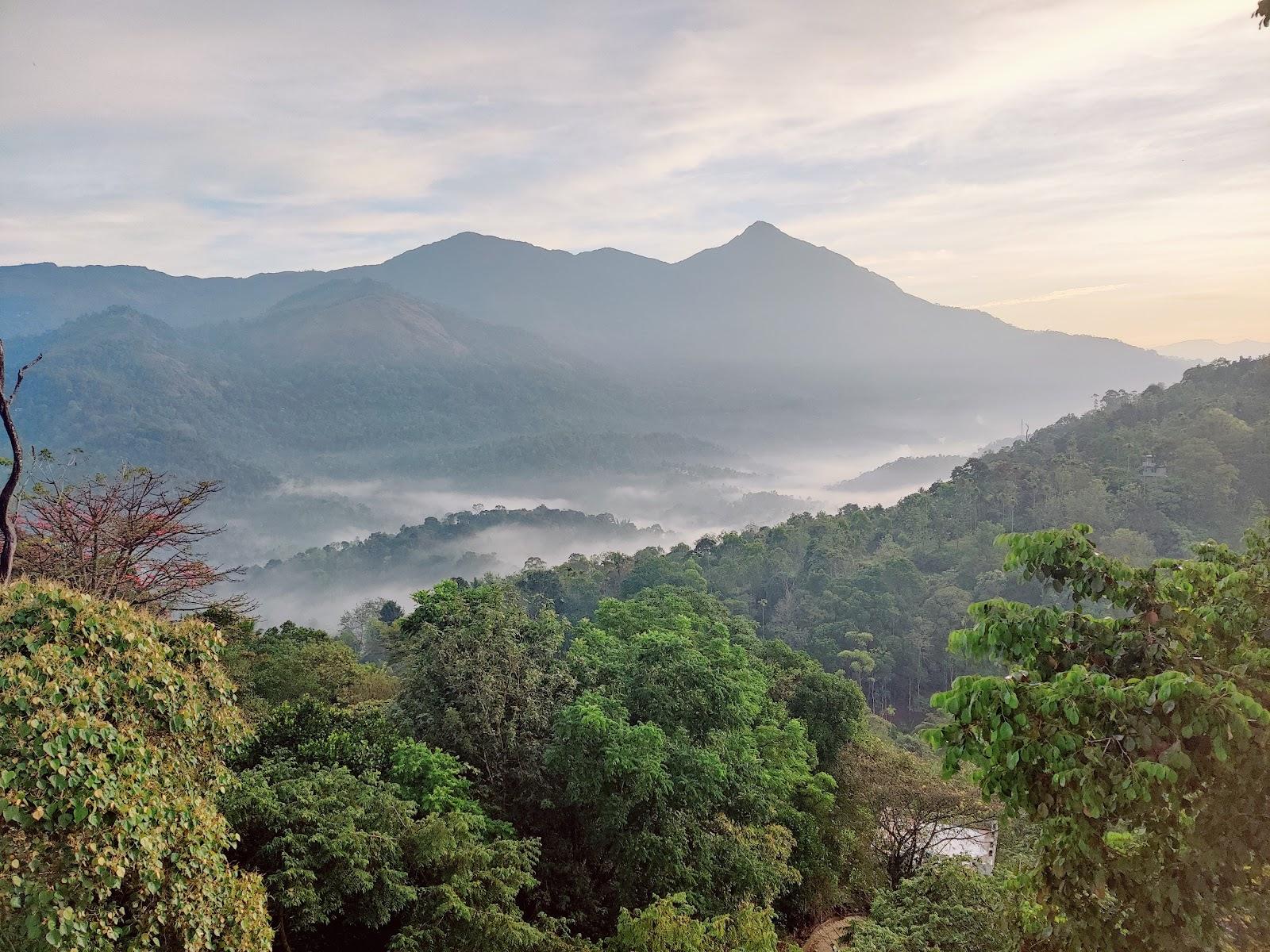 The serene park Munnar – photo 1