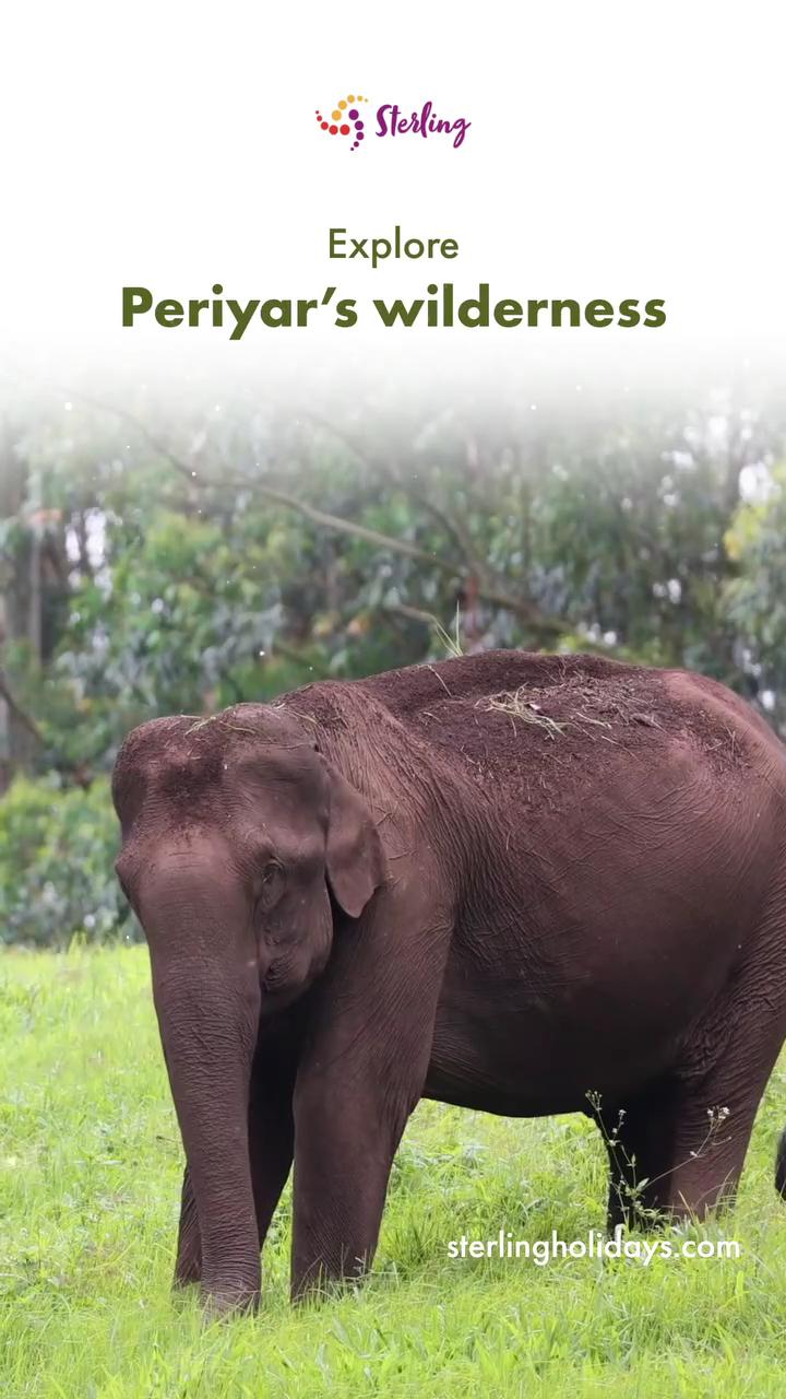 Sterling Thekkady – photo 2