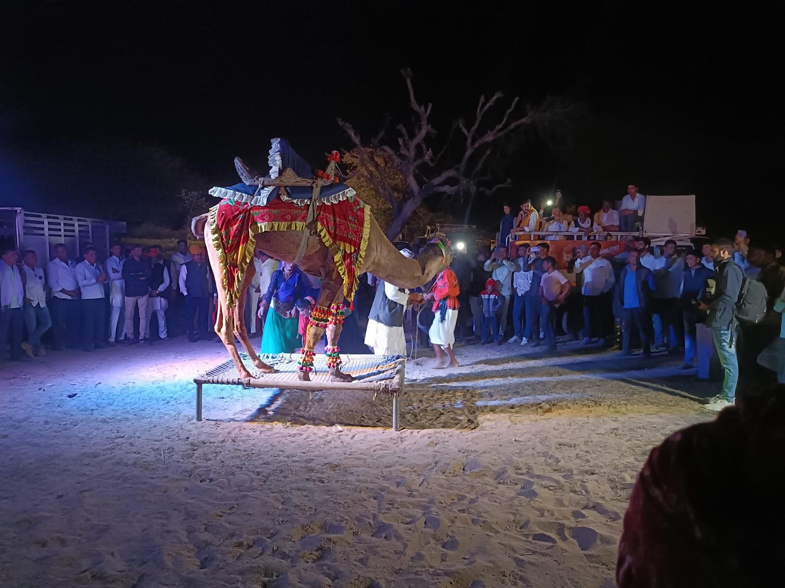 Jhilmil Rajasthan Village Tourism – photo 4