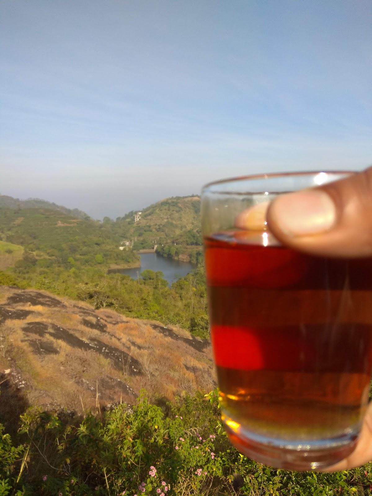 Vagamon White House Resort – photo 1