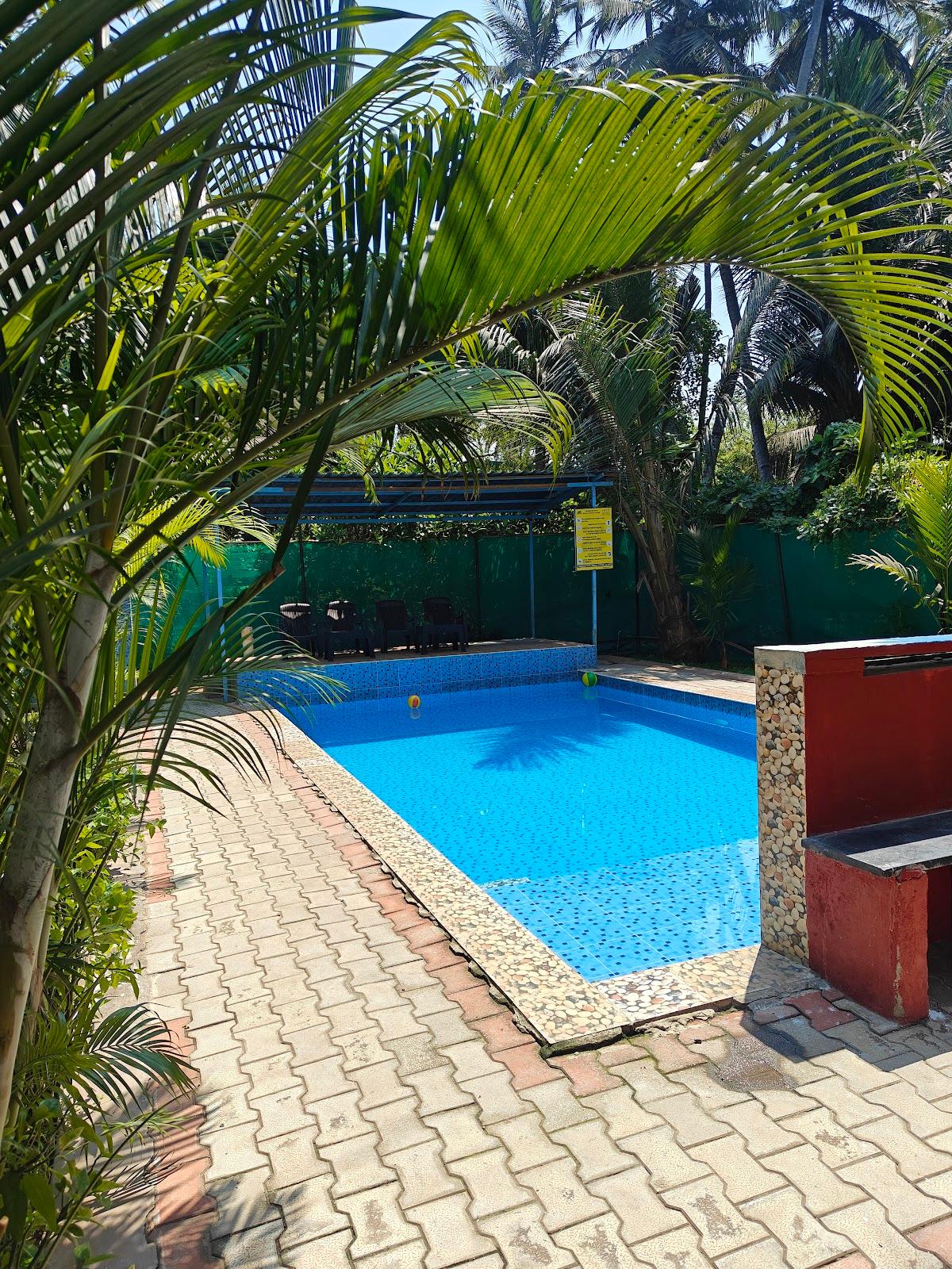 Dejo Serenity Resorts – photo 4