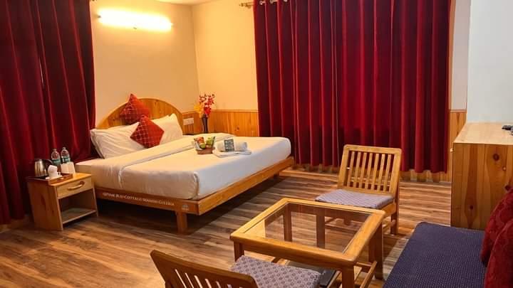Shimla Hotels – photo 4