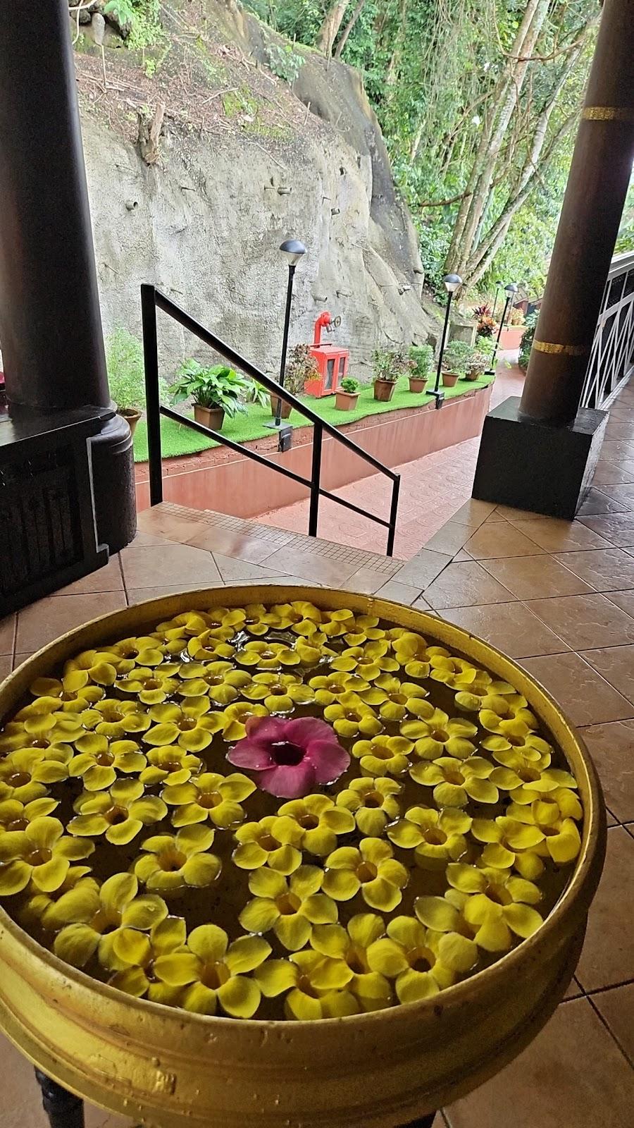 Kadavu Resort – photo 3