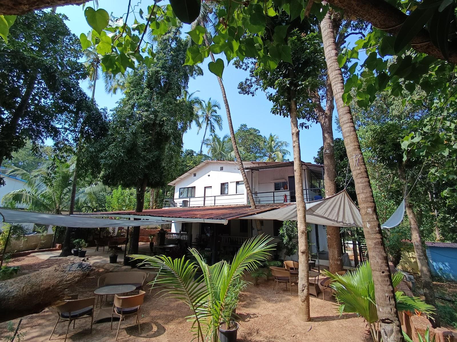 Jangala Resort – photo 1