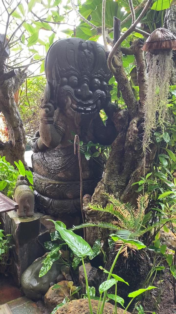 Udara Bali Yoga Detox & Spa – photo 3