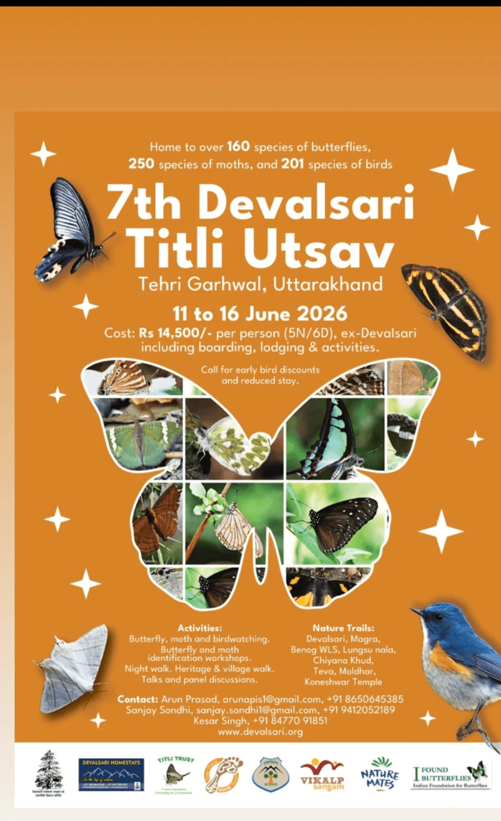 devalsari – photo 3