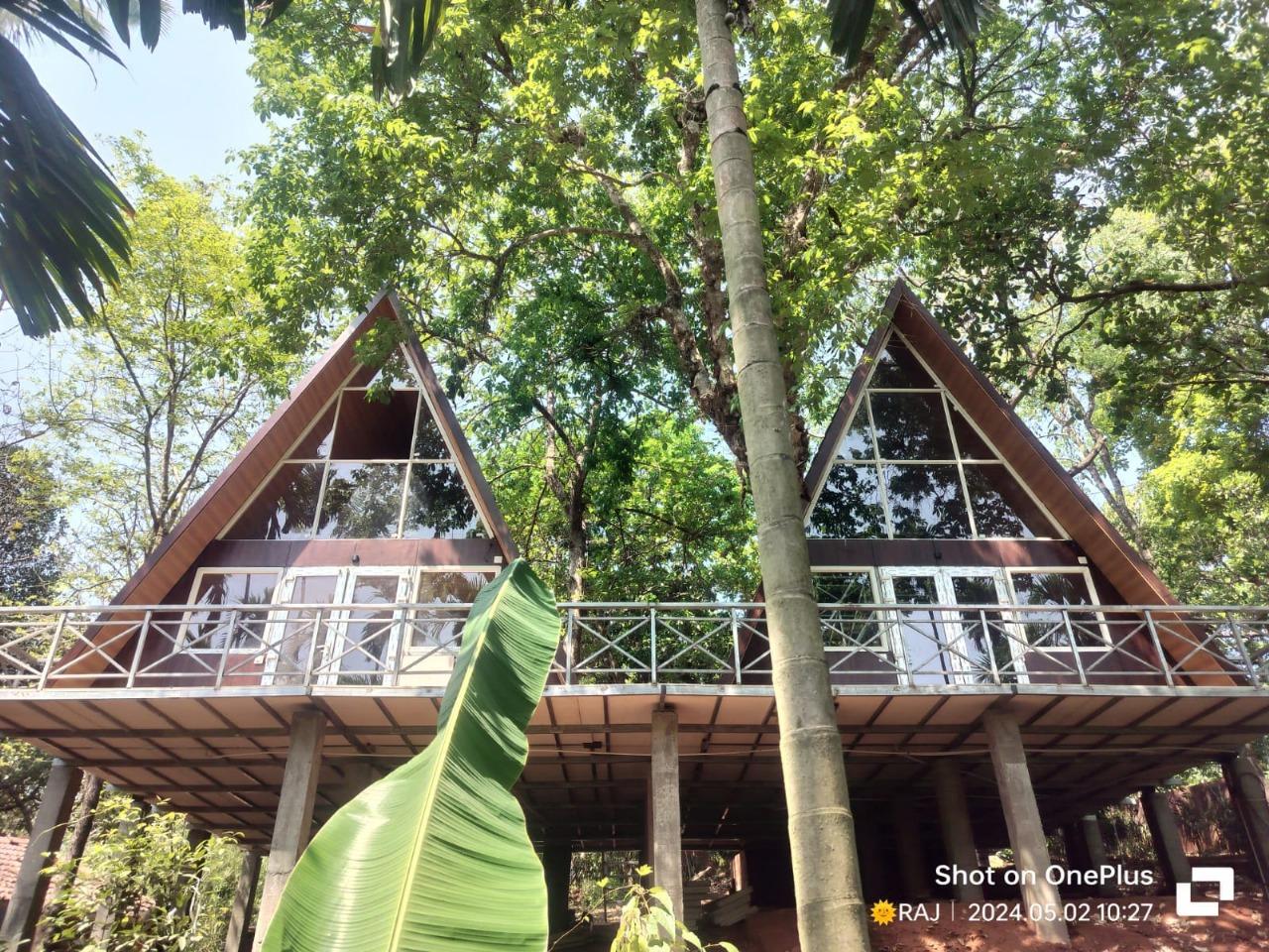 Tanshikar Spice Farm and restaurant with authentic dishes – photo 1