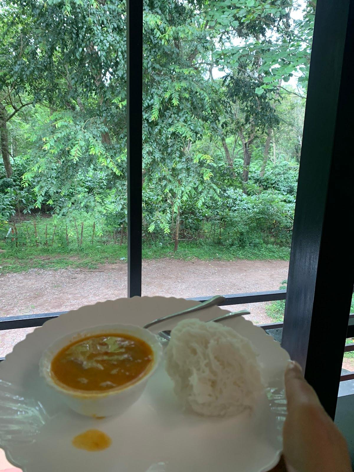 Nephila Farm – photo 2