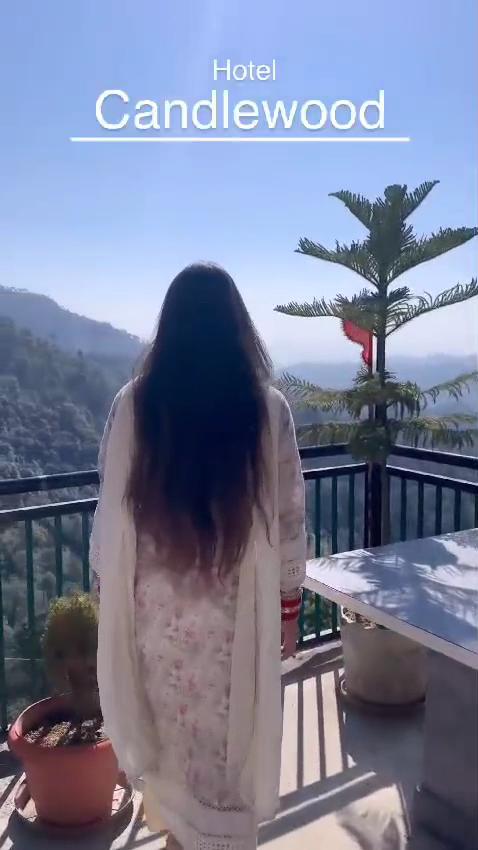 Hotel Candle Wood Shimla | Best Family Hotel in Shimla – photo 2