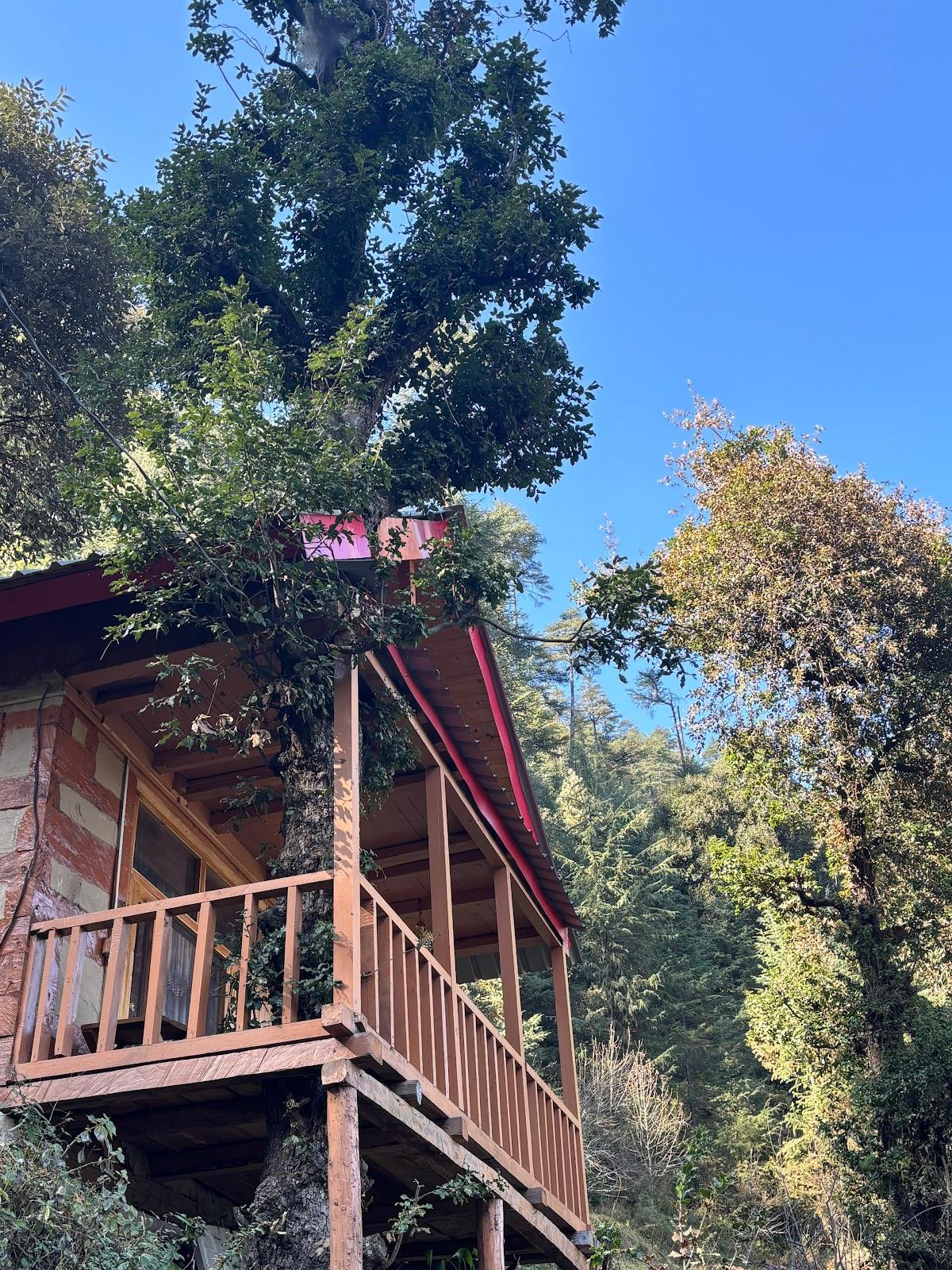 Solitaire - Kathkuni Farm Stay – photo 2