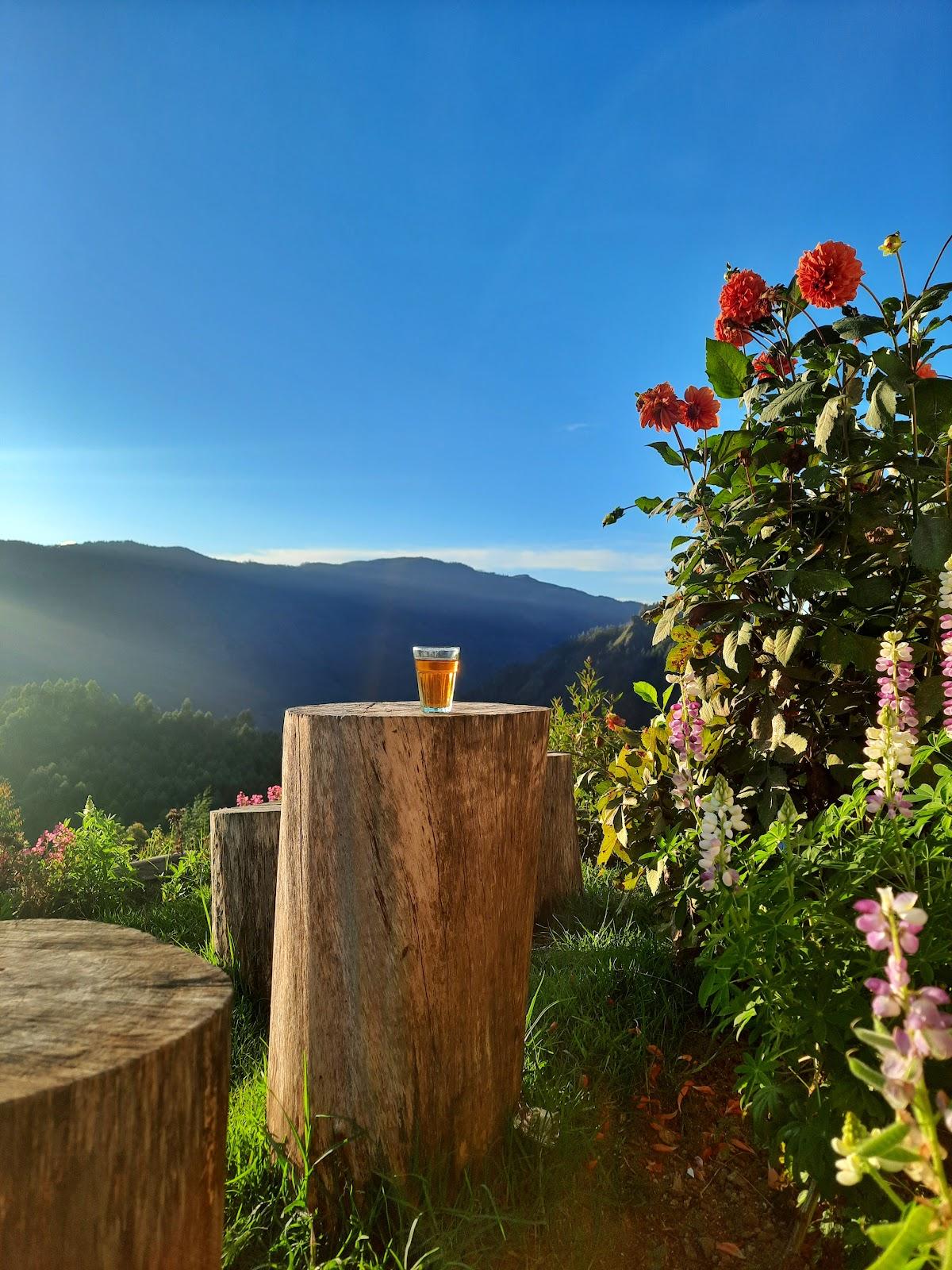 Hidden Hues Mountain Villa's Vattavada – photo 4