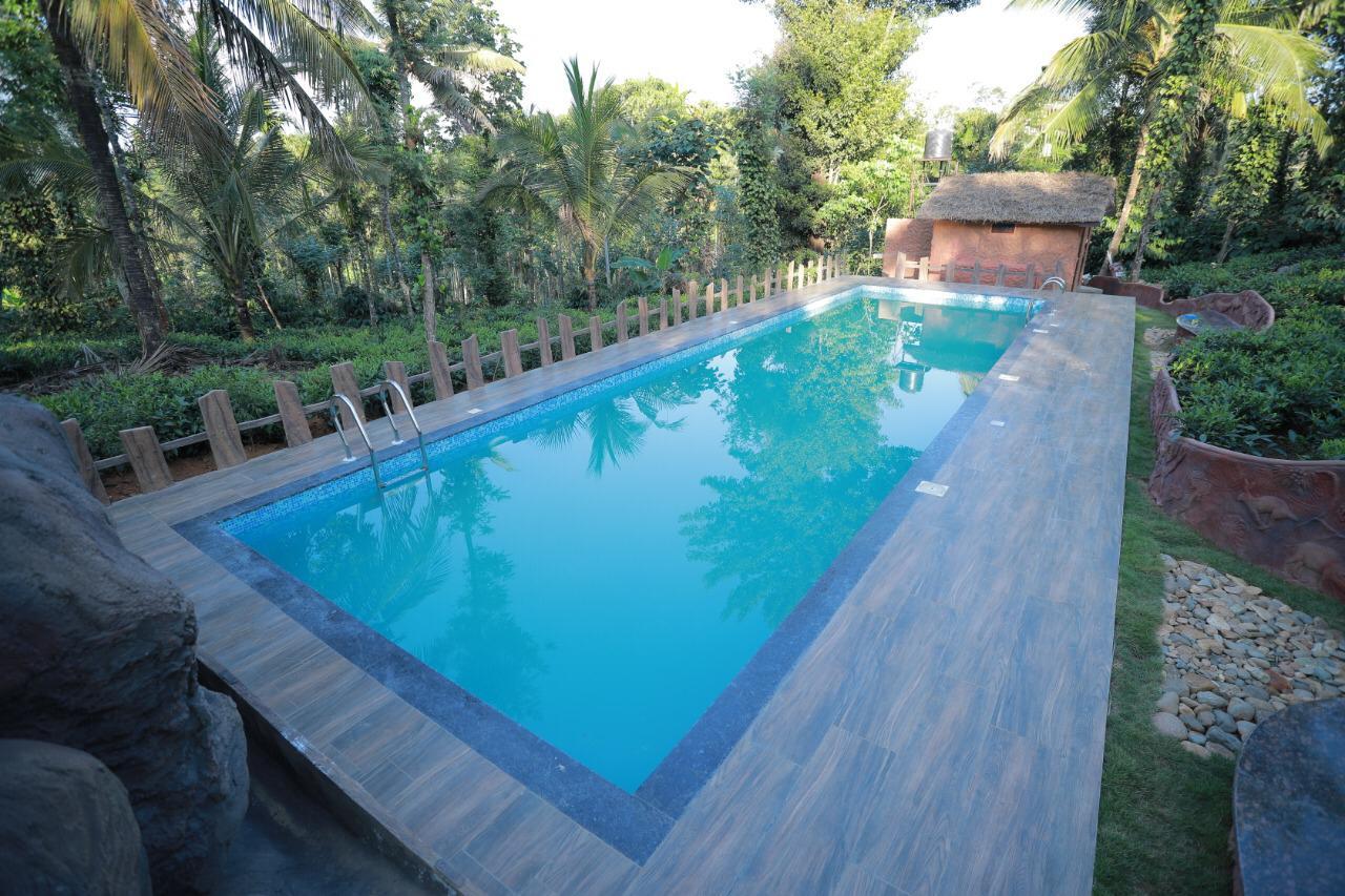 Tree House Wayanad – photo 4