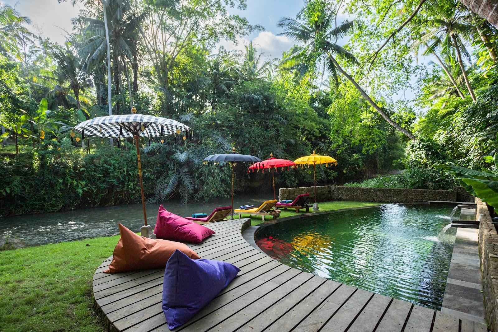 Bamboo Turtle Ecolodge – photo 4