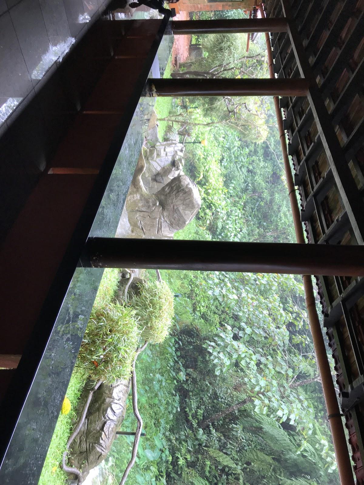 Wyldwater Retreat – photo 2