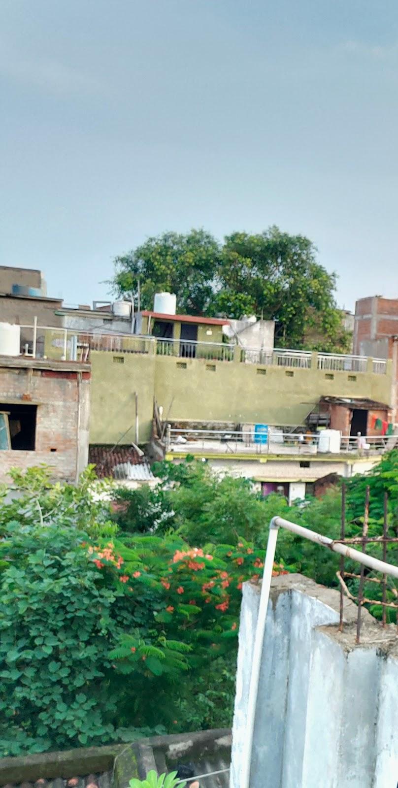 Sagar Lodge – photo 1