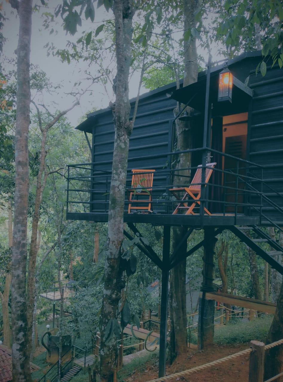 Jungle Beats Resorts – photo 1