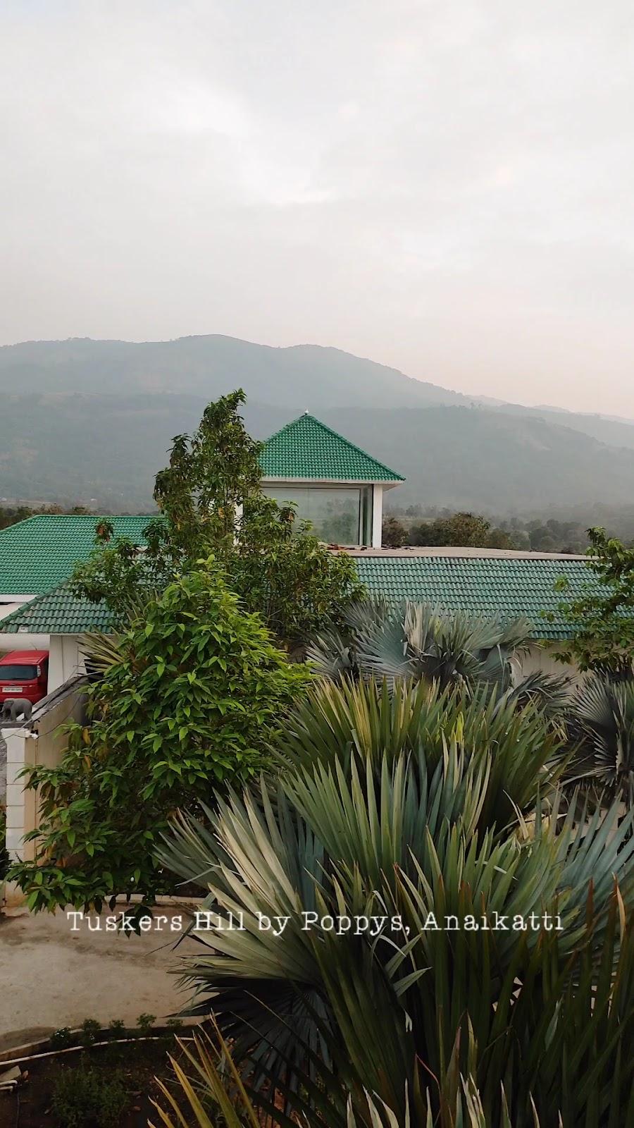 POPPYS Tuskers Hill Resort - Anaikatti – photo 2