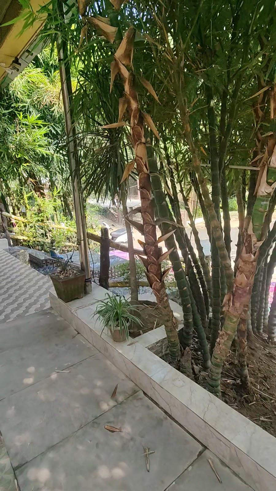 Kanha Resort – photo 2
