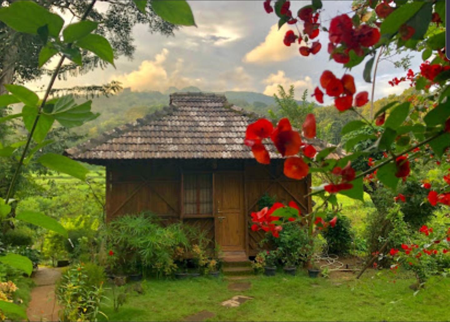 Jungle Retreat Wayanad – photo 1