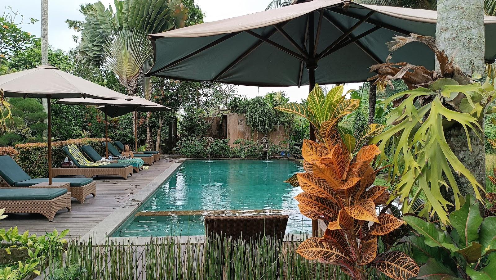 Ubud Tropical Garden – photo 4