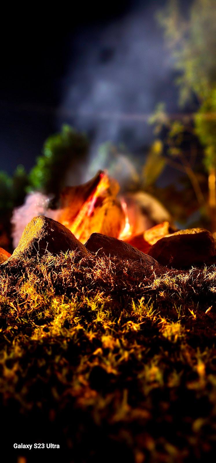 The Wilderness Campsite – photo 3