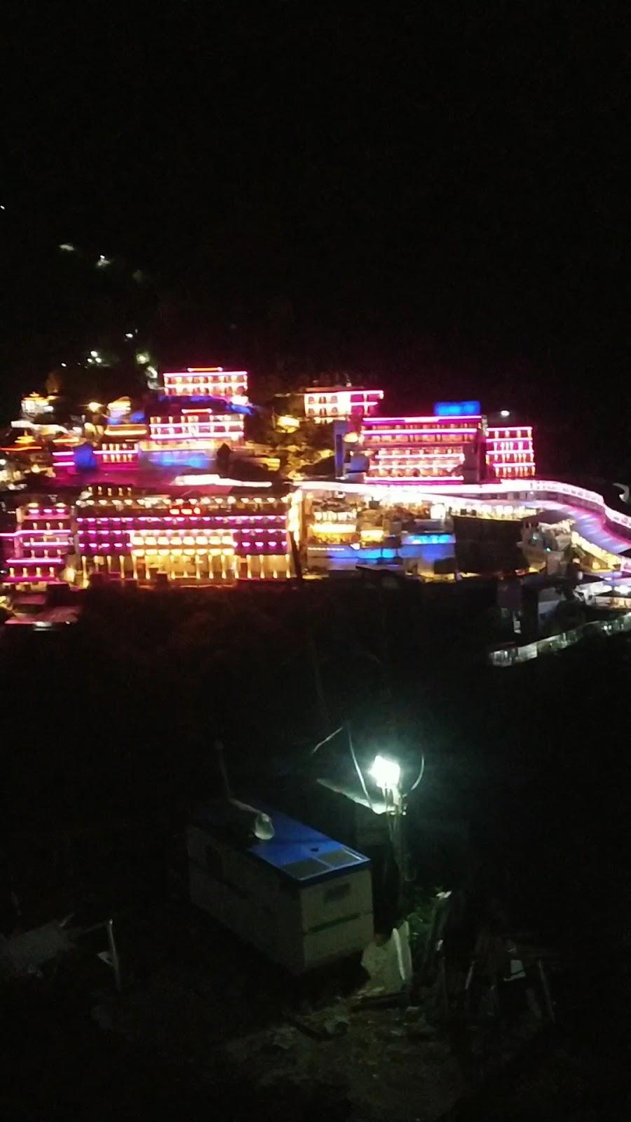 MAA TRIKUTA PALACE – photo 1