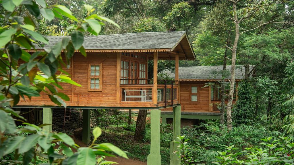 MISTY MOUNTAIN PLANTATION RESORT – photo 1