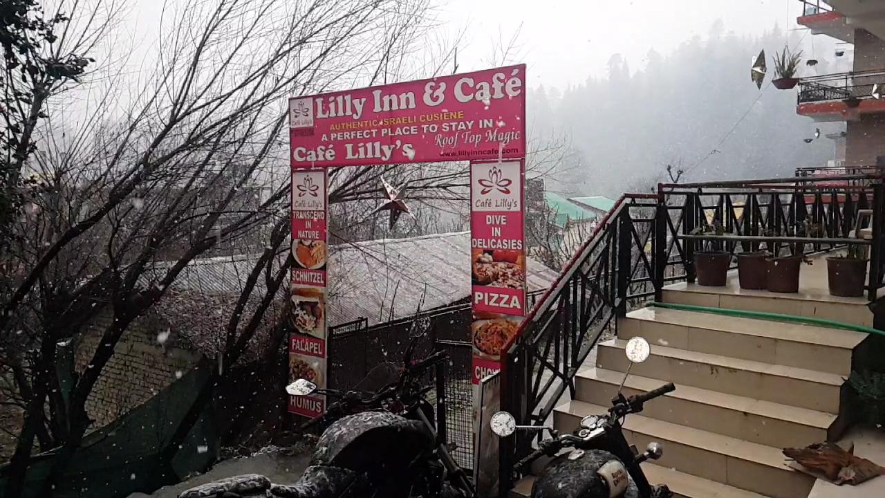 Lilly Inn & Cafe – photo 1