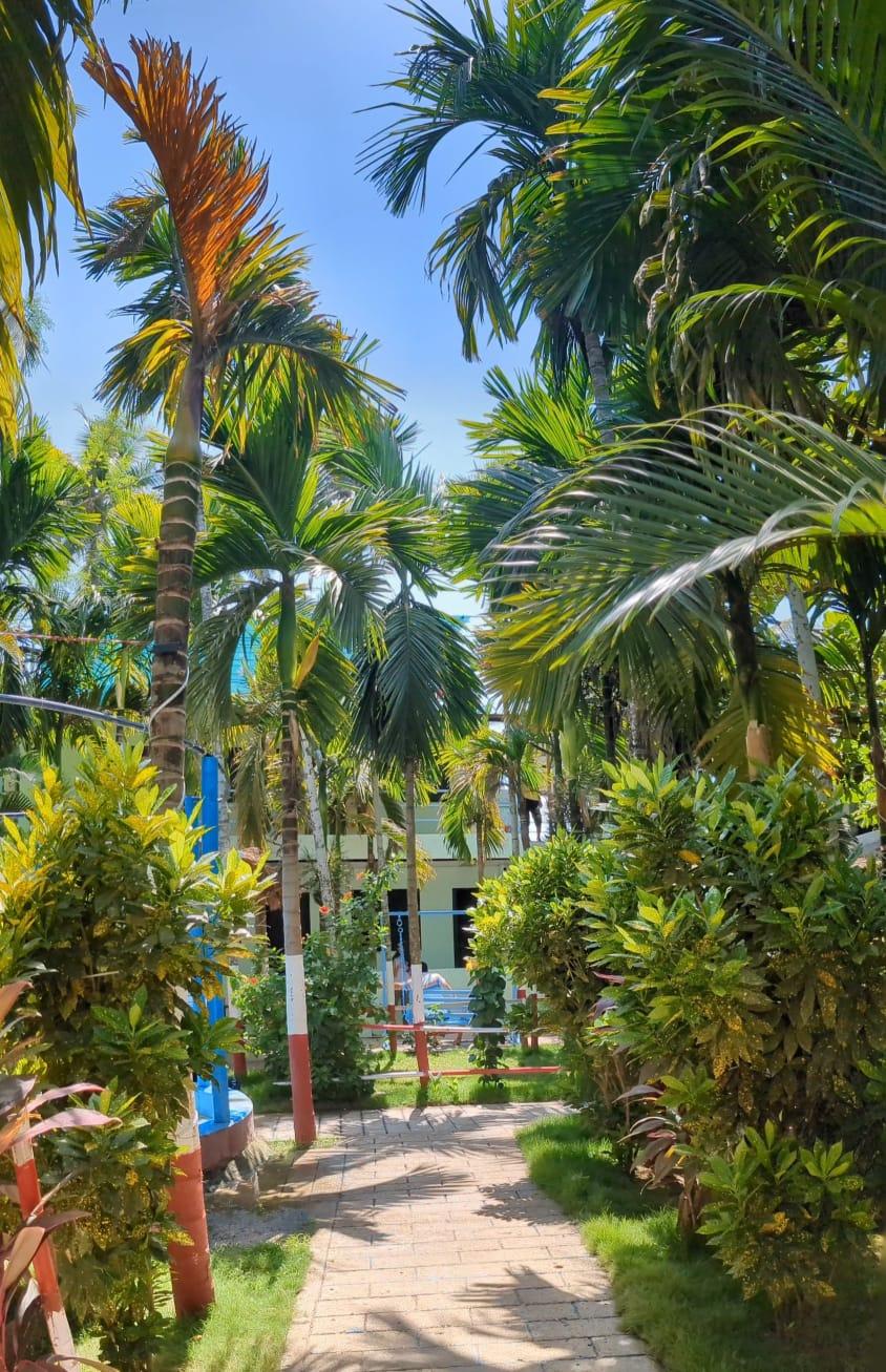 Dream Beach Family Resort – photo 1