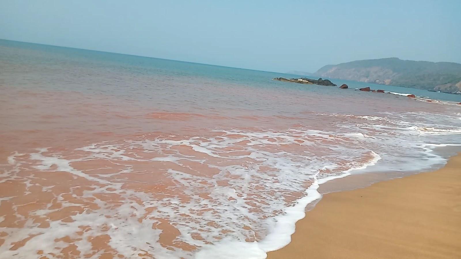 Blue Lagoon Resort Goa – photo 2