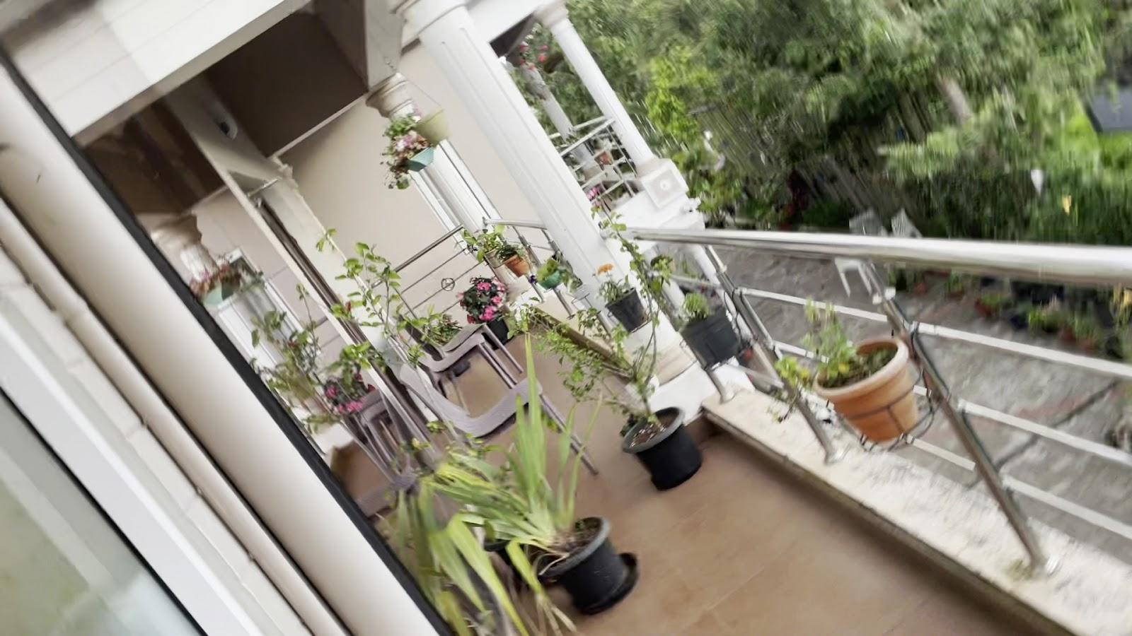 PARADISE PERFECT – photo 2