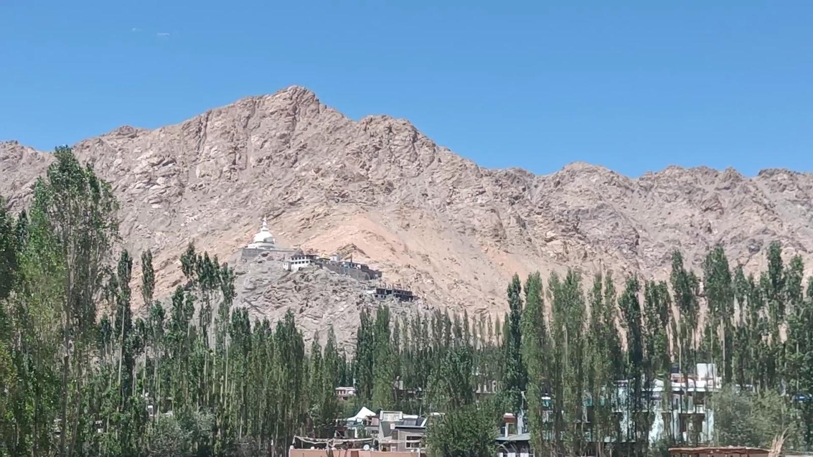 Hotel Malik Residency – photo 2