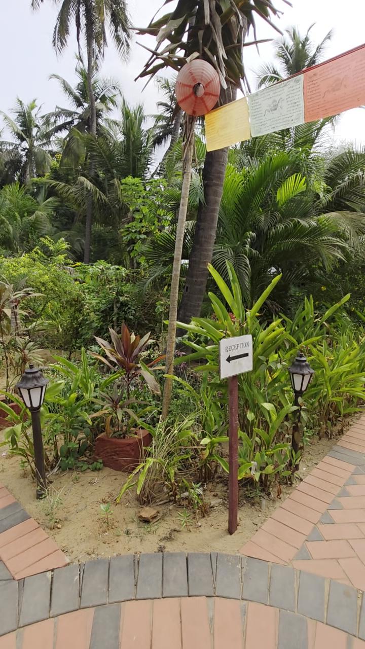 OmBodhi Retreat – photo 2