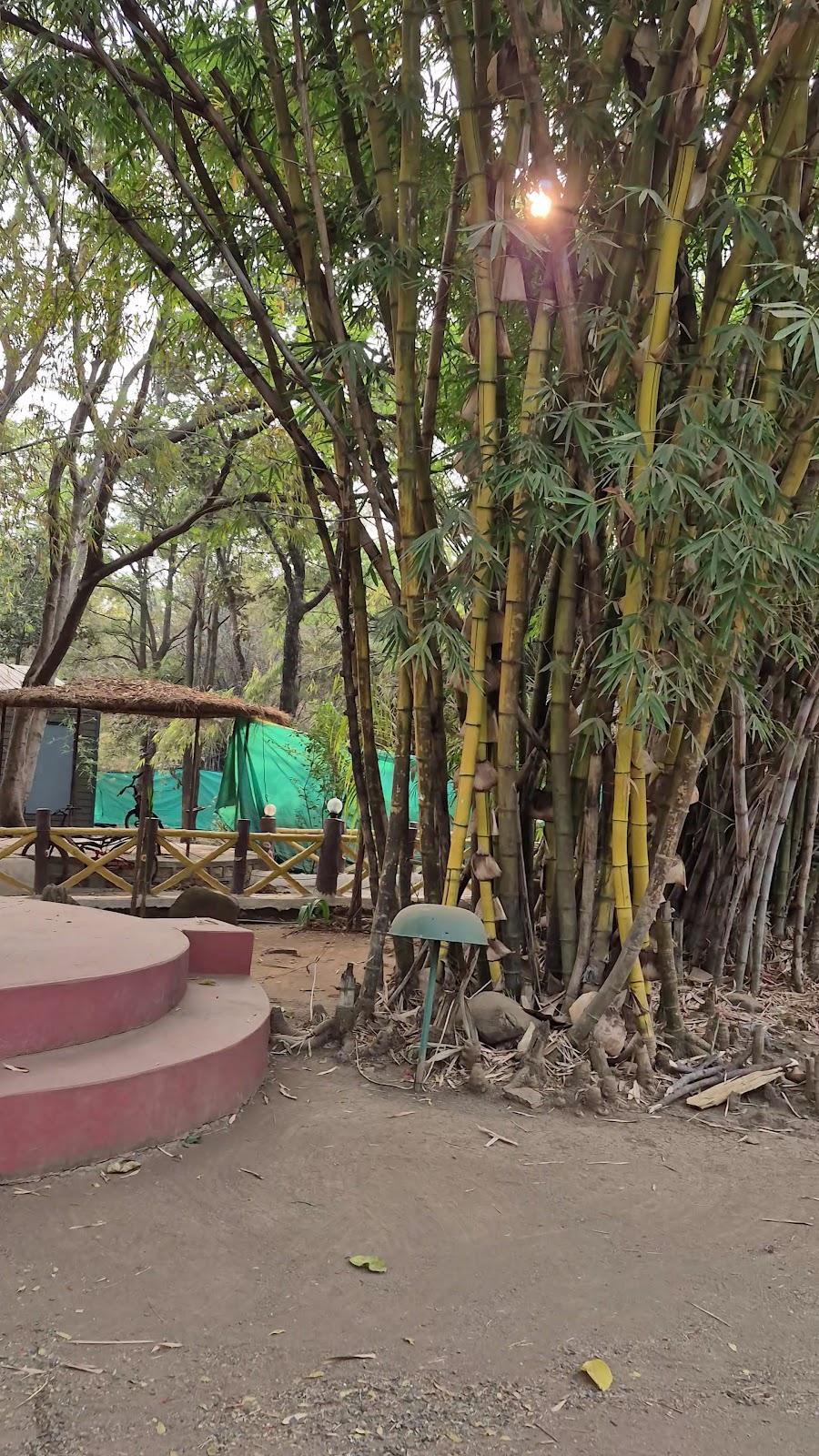 Treebo Premium Mowgli's Den Pench Tiger Reserve – photo 2