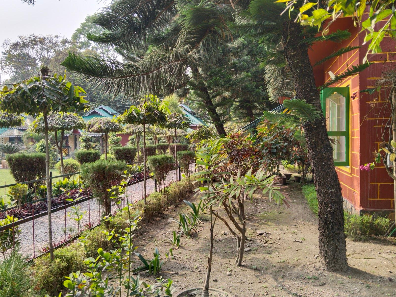 Dooars View Resort – photo 1