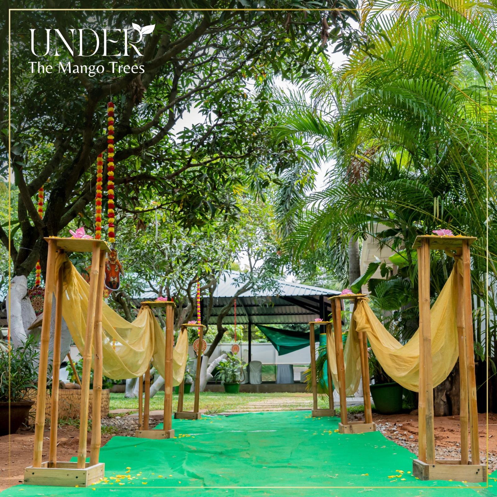 Under The mango Trees – photo 4