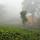 Valparai Jungle Stay – photo 2