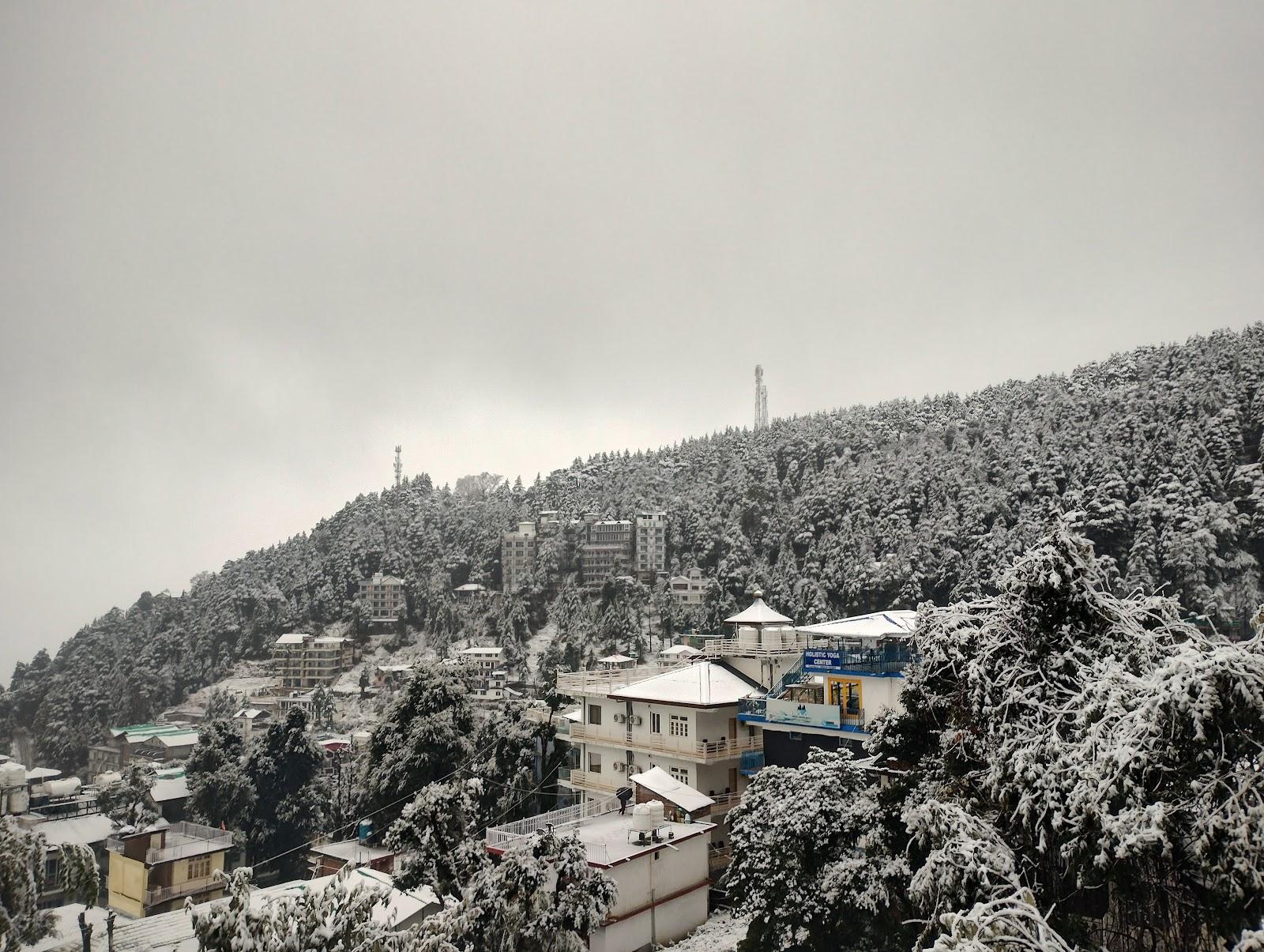 Bhagsu Villa