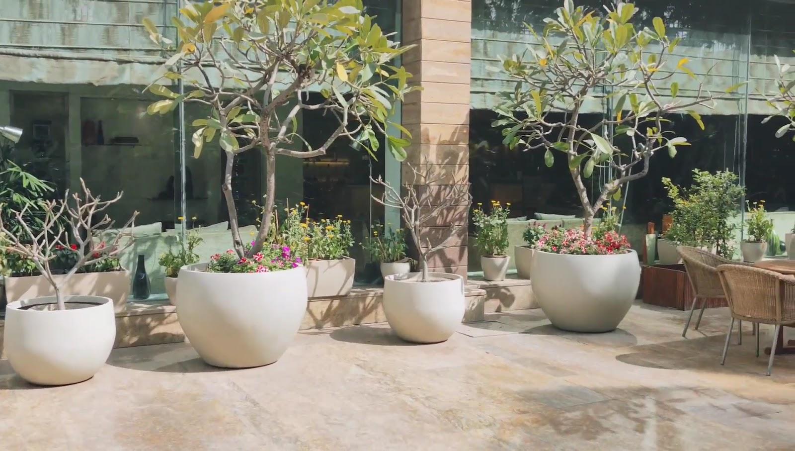 Jaypee Siddharth - 5 Star Luxury Hotels in Delhi – photo 2