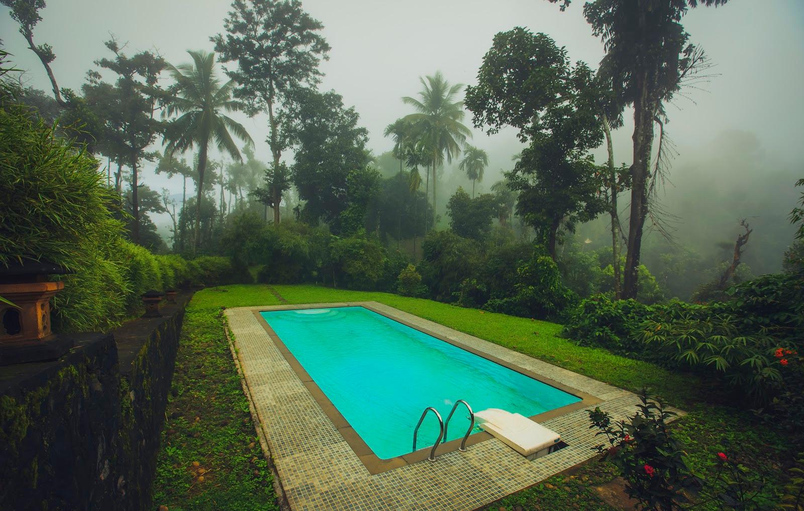 After The Rains Rainforest Lodge, Wayanad – photo 4