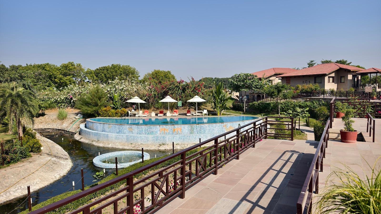 Aamaghati Wildlife Resort, Ranthambore – photo 4