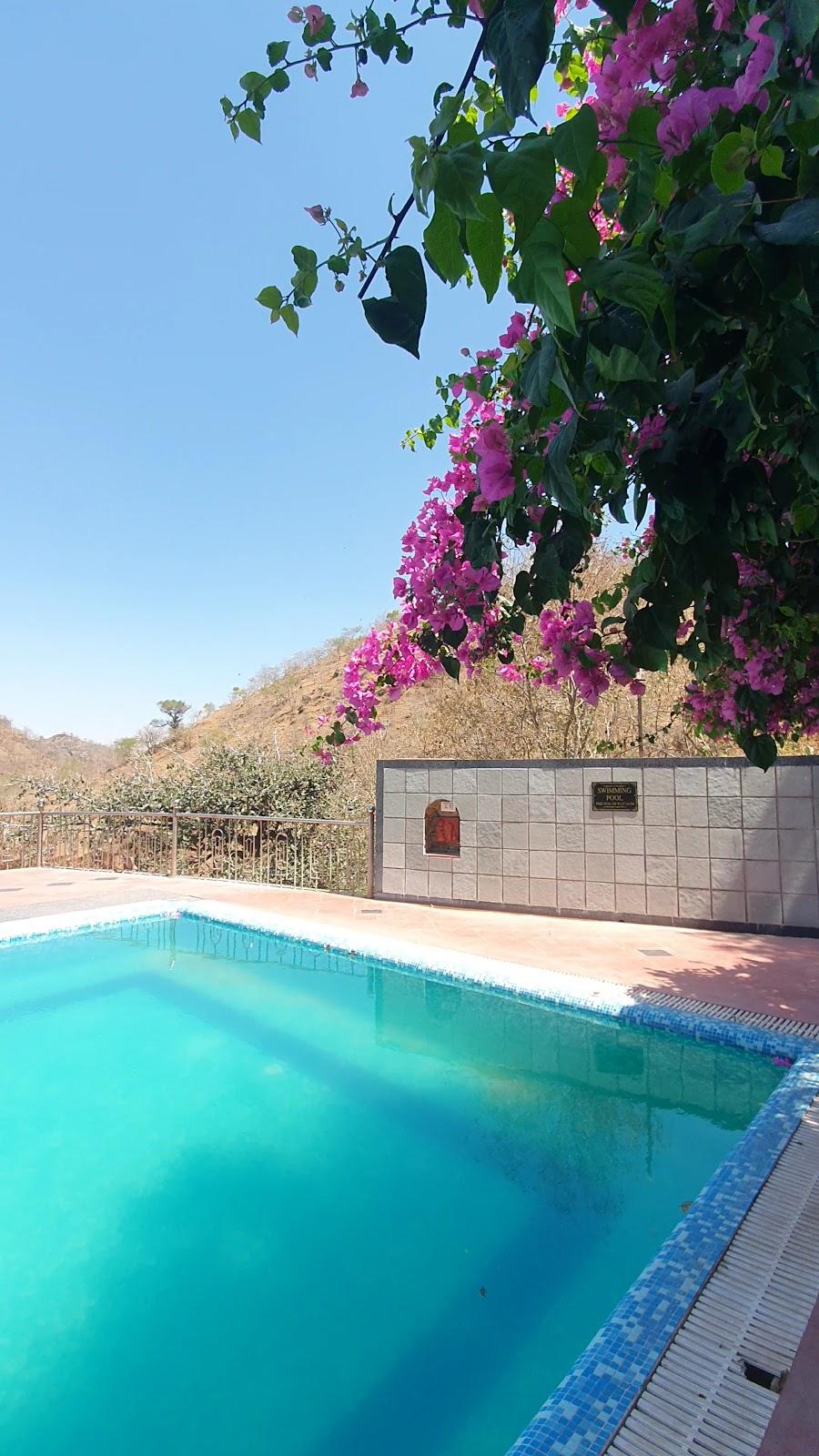 Tiger Valley Resort Kumbhalgarh – photo 2