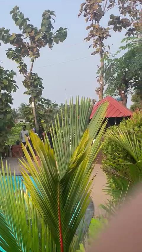 Aurum Resorts – photo 4