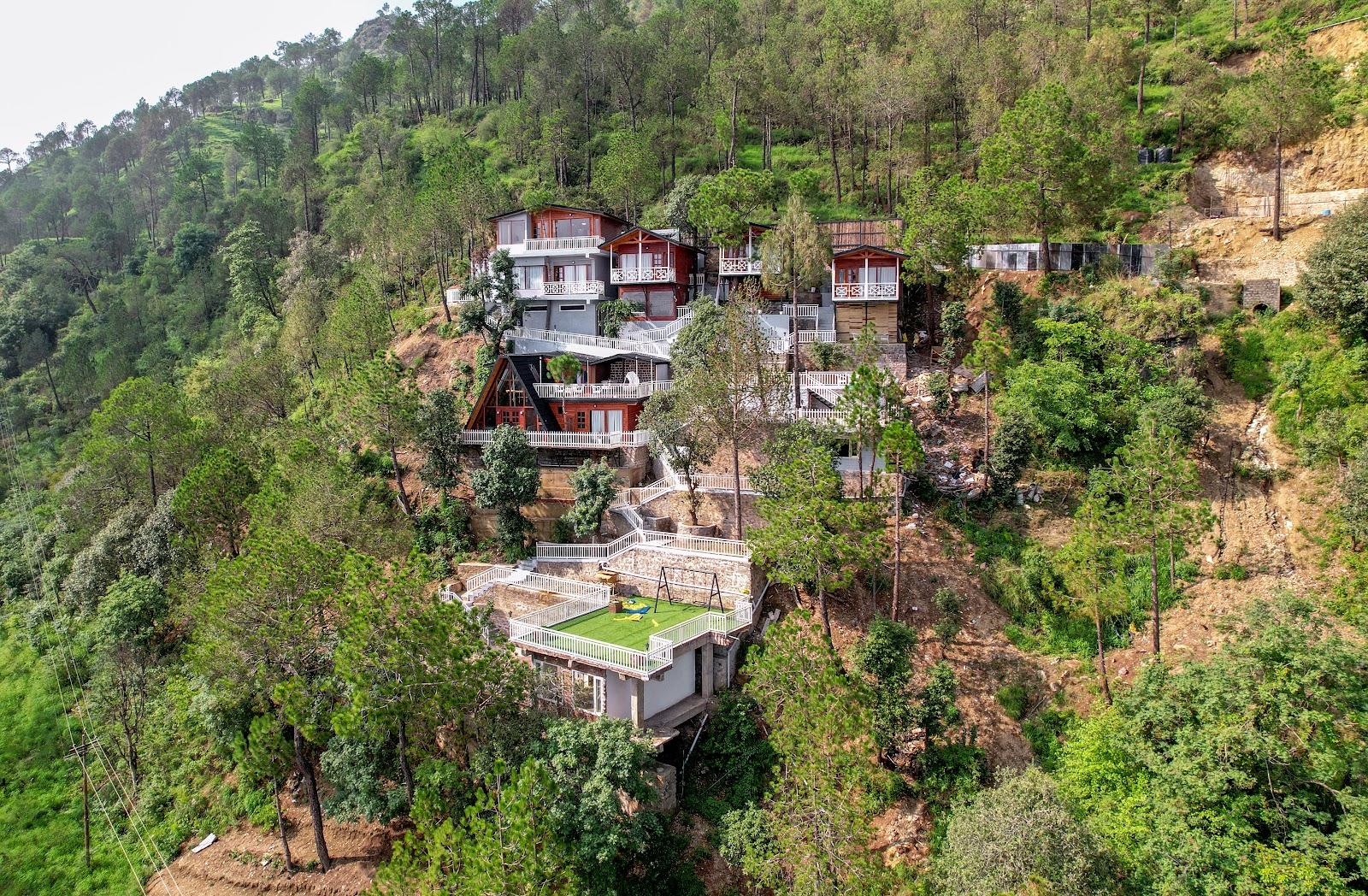 Koro Treehouse Resort – photo 4